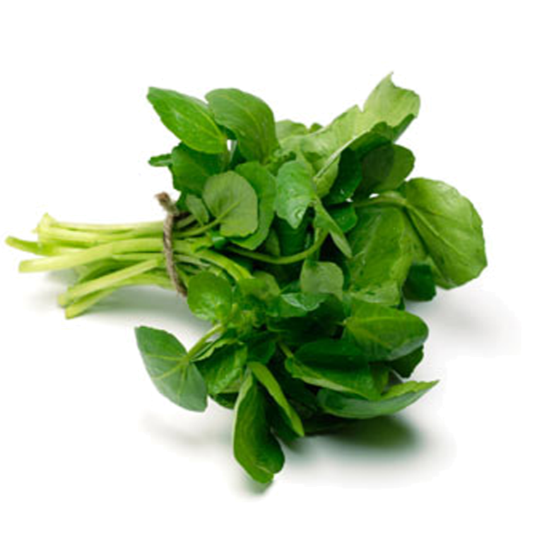 Tohum Tere 30 gr