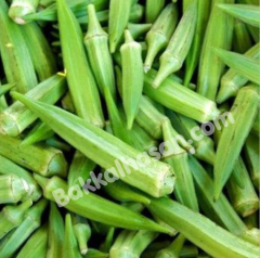 Bamya Tohumu