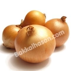 Tohum Soğan 10 gr