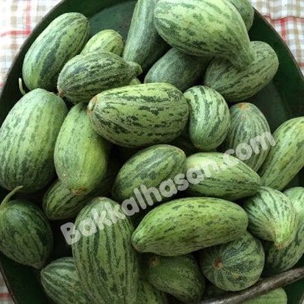 Tohum Acur Tüylü 10 gr