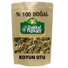 Koyun Otu