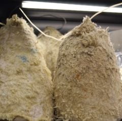 Bakkal Hasan Gaziantep Deri Karışık Tulum Peynir