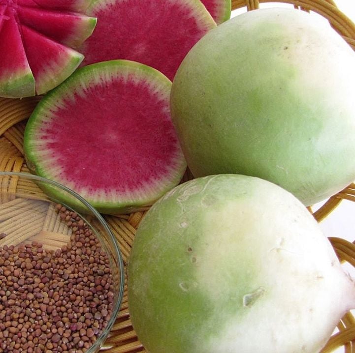 Turp Tohumu Çelebi İçi Kırmızı