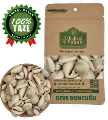 Bakkal Hasan Gaziantep Deve Boncuğu İt Boncuğu Tesbih Ağacı Tohumu