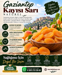 Sarı Kayısı Kurusu