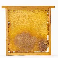 Bakkal Hasan Gaziantep Hakiki Çiçek Petek Balı