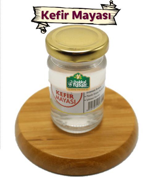 Kefir Mayası