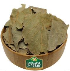 Avokado Yaprağı