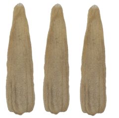 Bakkal Hasan Gaziantep Doğal Kabak Lifi Presli (60-70 cm) Mutfak Banyo Lifi Kese