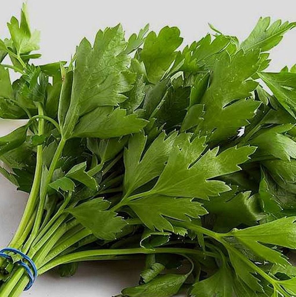 Maydanoz Tohumu D'Giant Italiana