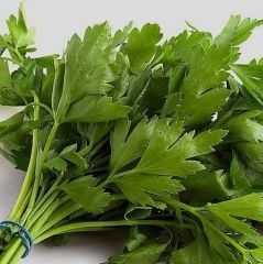 Maydanoz Tohumu D'Giant Italiana