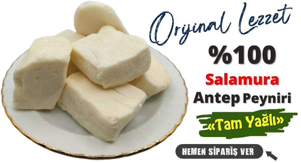 https://www.bakkalhasan.com/arama/tam%20yağlı